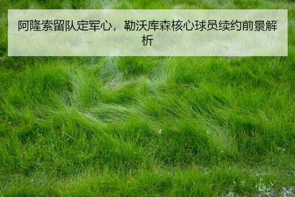 a-long-suo-liu-dui-ding-jun-xin-lei-wo-ku-sen-he-xin-qiu-yuan-xu-yue-qian-jing-jie-xi-3-738.jpg