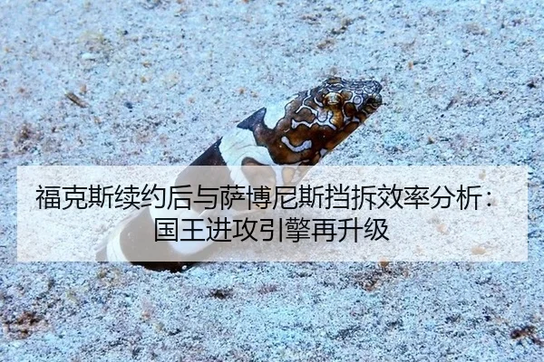 fu-ke-si-xu-yue-hou-yu-sa-bo-ni-si-dang-chai-xiao-lv-fen-xi-guo-wang-jin-gong-yin-qing-zai-sheng-ji-3-543.jpg