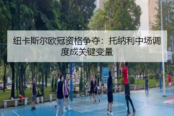 niu-ka-si-er-ou-guan-zi-ge-zheng-duo-tuo-na-li-zhong-chang-diao-du-cheng-guan-jian-bian-liang-2-848.jpg